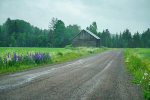 Sateinen peltomaisema ja lato